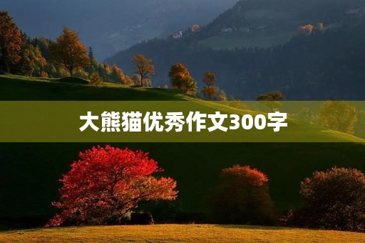 大熊猫优秀作文300字 大熊猫优秀作文300字