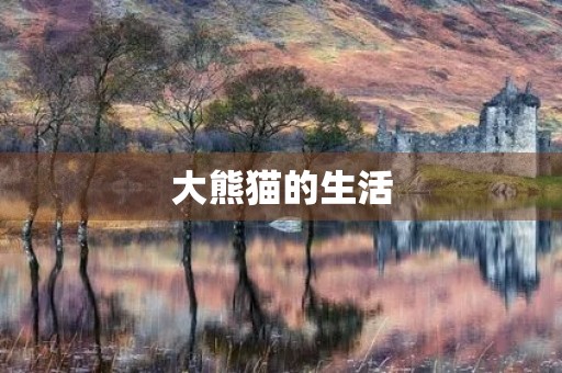 大熊猫的生活