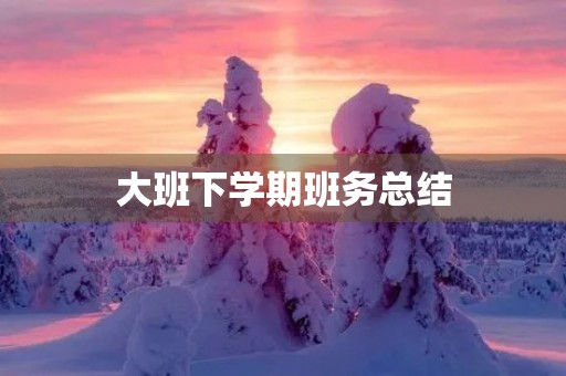 大班下学期班务总结