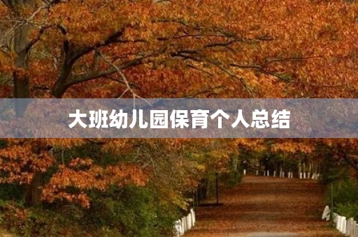 大班幼儿园保育个人总结