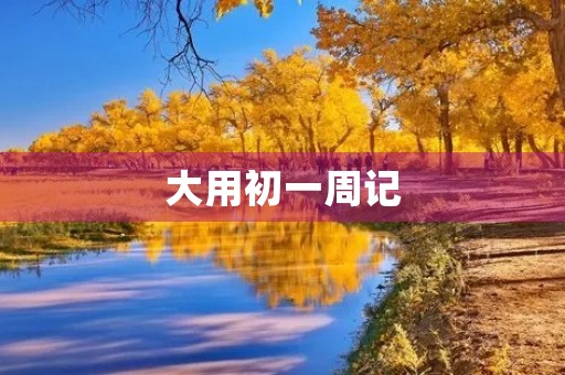 大用初一周记 大用初一周记