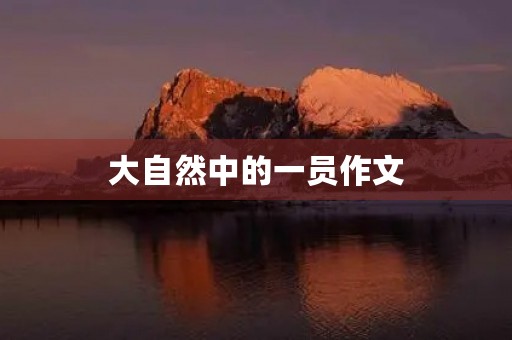 大自然中的一员作文