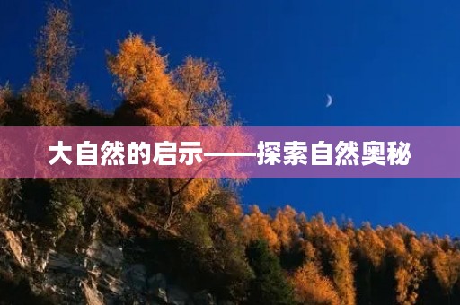 大自然的启示——探索自然奥秘 大自然的启示——探索自然奥秘