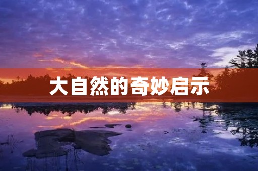 大自然的奇妙启示 大自然的奇妙启示