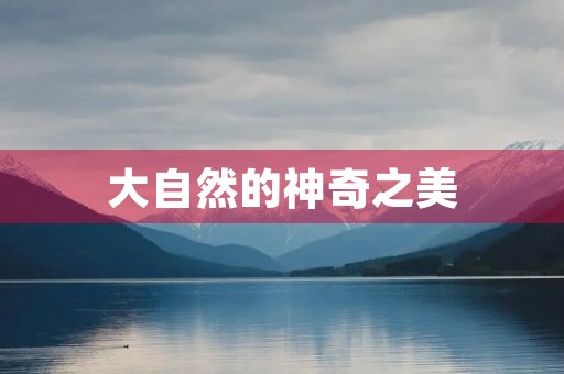 大自然的神奇之美 大自然的神奇之美