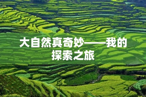 大自然真奇妙——我的探索之旅 大自然真奇妙——我的探索之旅
