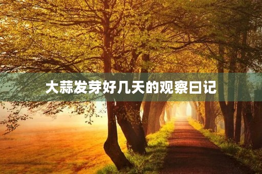 大蒜发芽好几天的观察曰记
