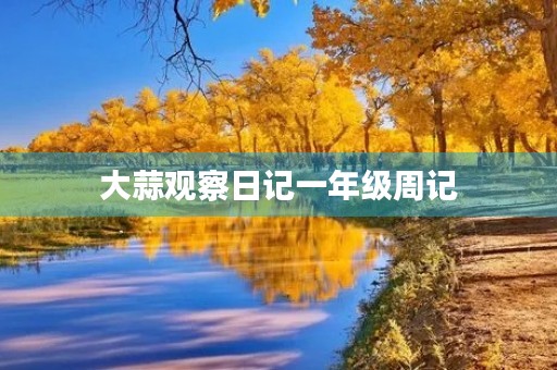 大蒜观察日记一年级周记