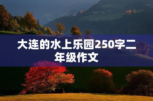 大连的水上乐园250字二年级作文