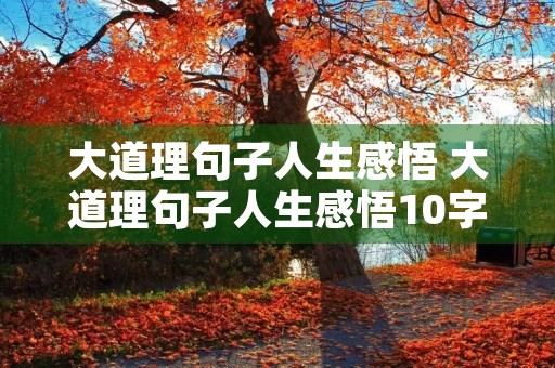 大道理句子人生感悟 大道理句子人生感悟10字