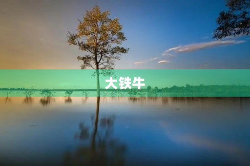 大铁牛 大铁牛