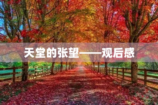 天堂的张望——观后感