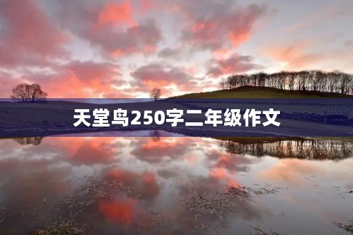 天堂鸟250字二年级作文