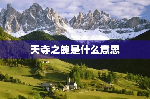 天夺之魄是什么意思