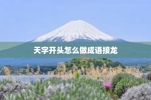 天字开头怎么做成语接龙 天字开头怎么做成语接龙
