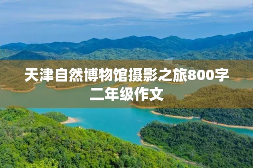 天津自然博物馆摄影之旅800字二年级作文