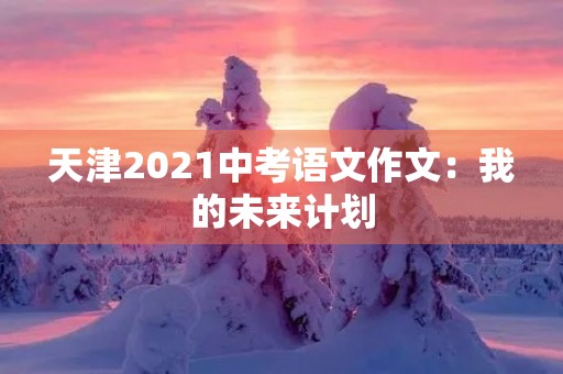 天津2021中考语文作文：我的未来计划