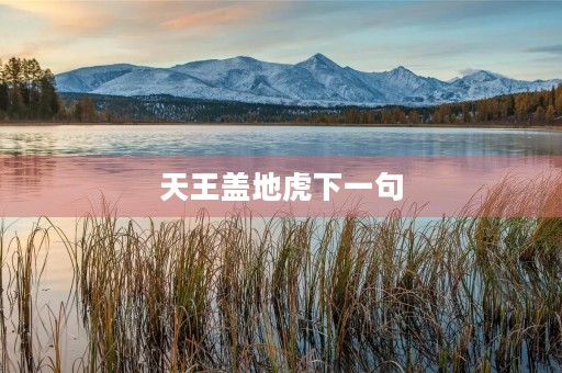 天王盖地虎下一句(天王盖地虎下一句暗号是什么数字) 天王盖地虎下一句(天王盖地虎下一句暗号是什么数字)