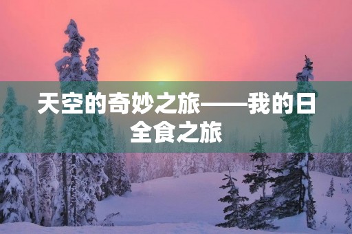 天空的奇妙之旅——我的日全食之旅 天空的奇妙之旅——我的日全食之旅