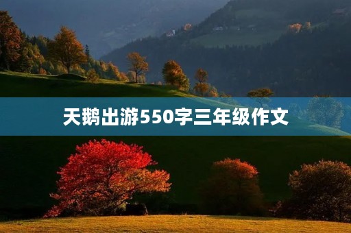 天鹅出游550字三年级作文