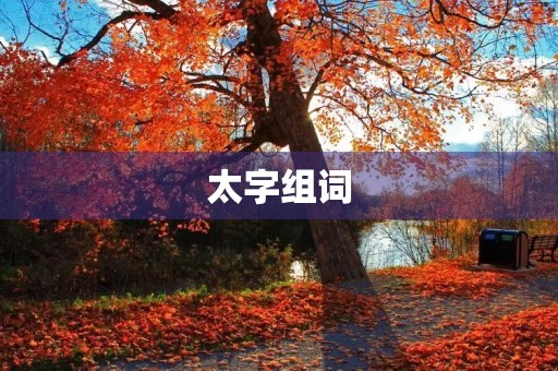 太字组词(太的组词)