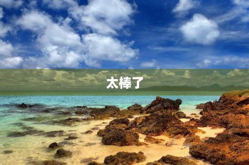 太棒了,我成功了! 太棒了,我成功了!