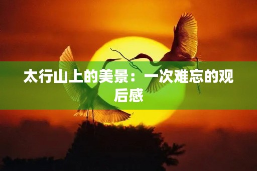 太行山上的美景：一次难忘的观后感