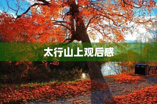 太行山上观后感 太行山上观后感