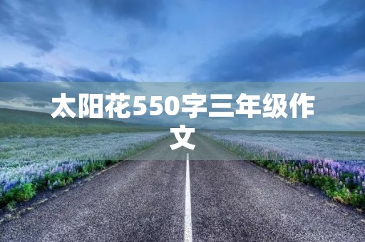 太阳花550字三年级作文