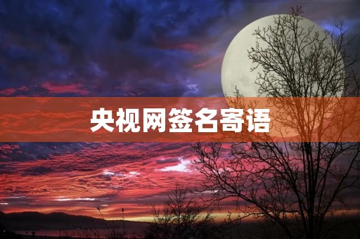 央视网签名寄语(网上签名寄语怎么弄)
