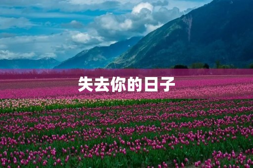 失去你的日子，我的心情变得伤感