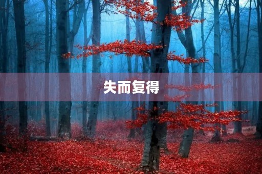 失而复得
