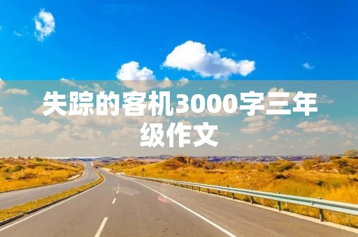 失踪的客机3000字三年级作文