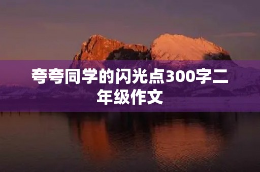 夸夸同学的闪光点300字二年级作文