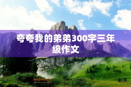 夸夸我的弟弟300字三年级作文