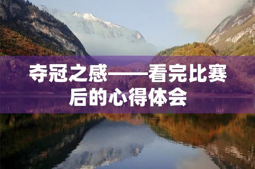 夺冠之感——看完比赛后的心得体会 夺冠之感——看完比赛后的心得体会