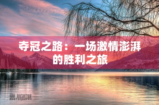 夺冠之路：一场**澎湃的胜利之旅
