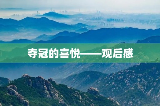 夺冠的喜悦——观后感 夺冠的喜悦——观后感