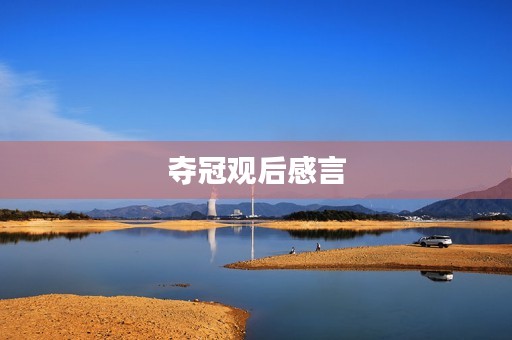 夺冠观后感言