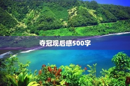 夺冠观后感500字 夺冠观后感500字