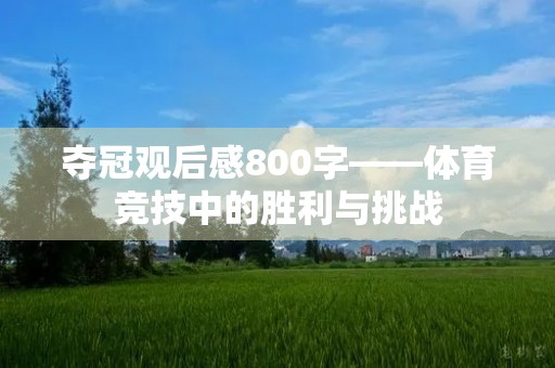 夺冠观后感800字——体育竞技中的胜利与挑战 夺冠观后感800字——体育竞技中的胜利与挑战