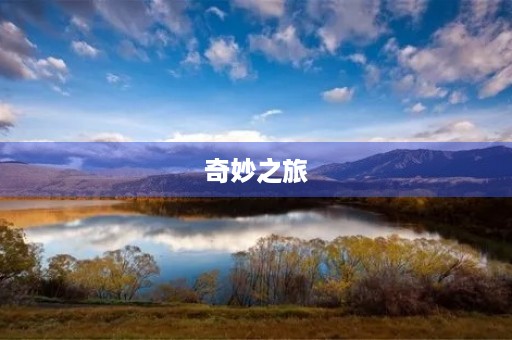 奇妙之旅 奇妙之旅