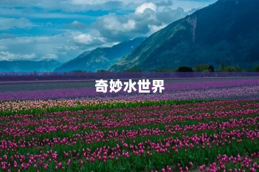 奇妙水世界