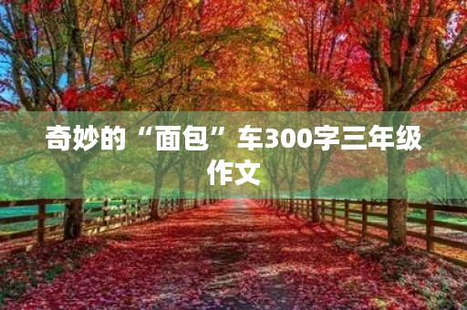 奇妙的“面包”车300字三年级作文