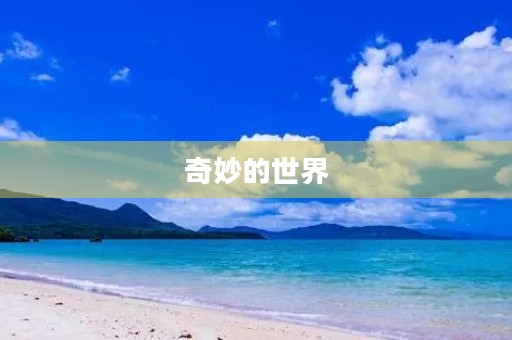 奇妙的世界 奇妙的世界