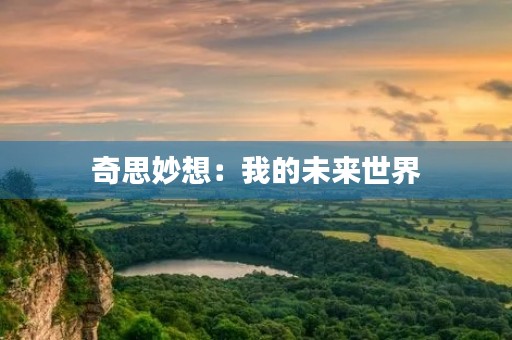 奇思妙想：我的未来世界
