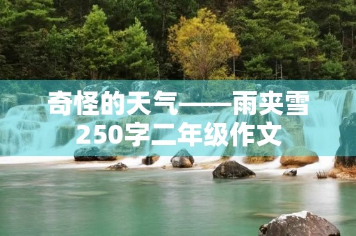 奇怪的天气——雨夹雪250字二年级作文