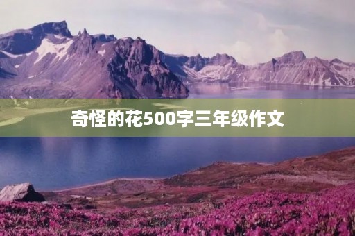 奇怪的花500字三年级作文