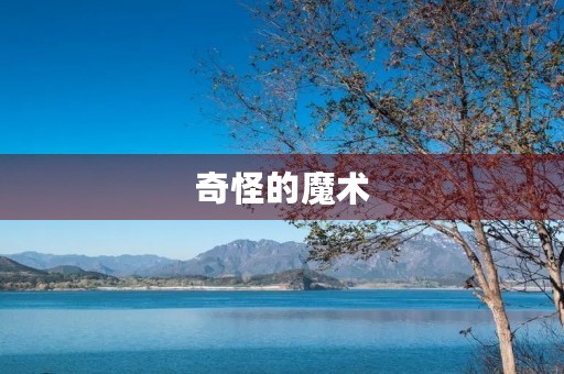 奇怪的魔术 奇怪的魔术