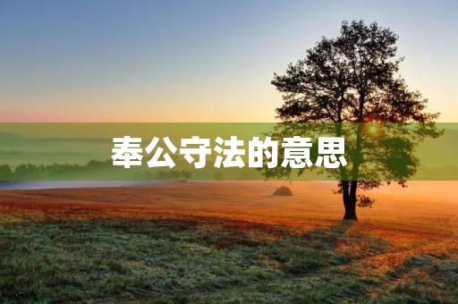 奉公守法的意思